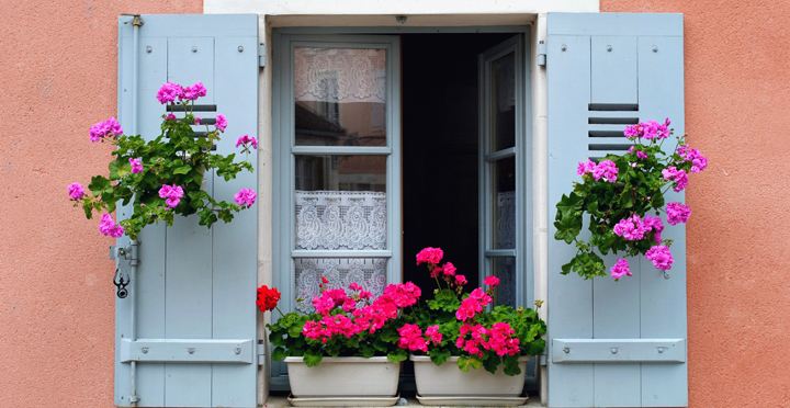 decoracion de ventana con flores