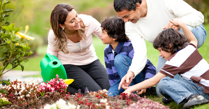 pequeno jardin