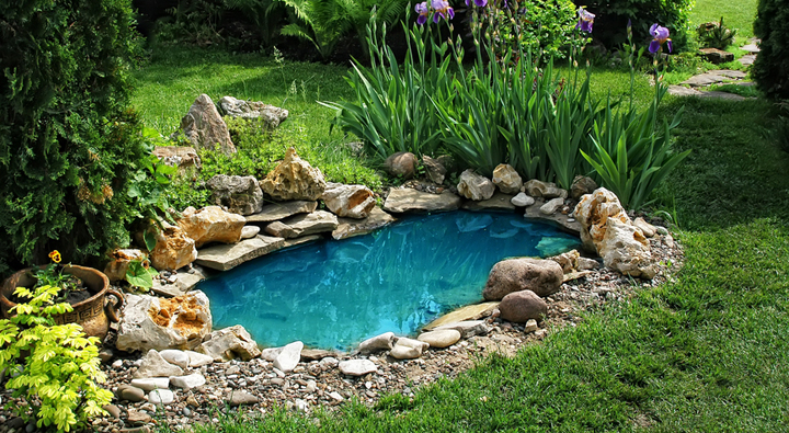 piscina ecologica