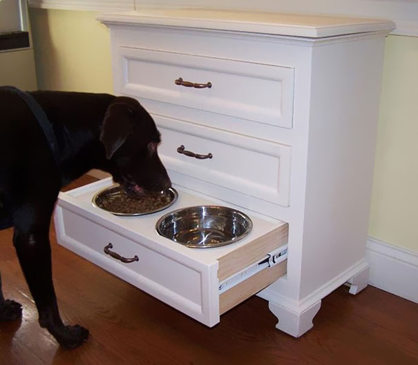 cajon con bols de comida para el perro