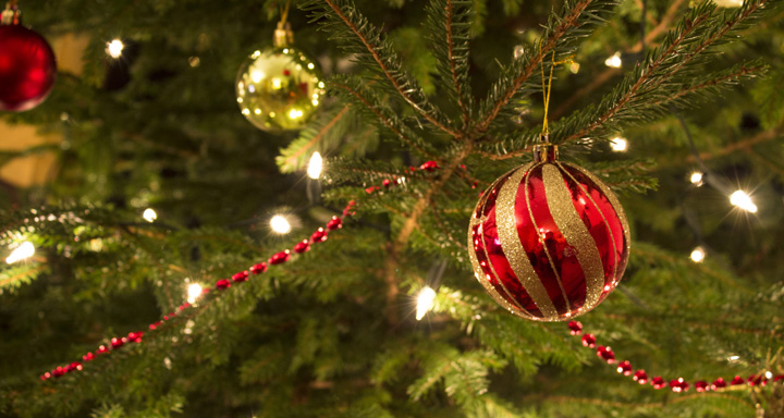 decoracion elegante del arbol de navidad