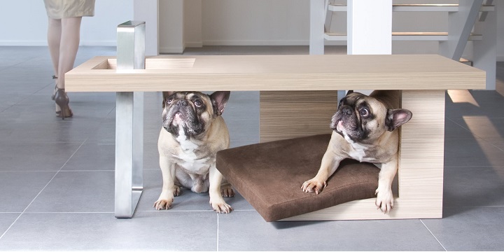 muebles perros6