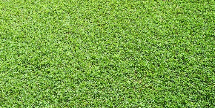 cesped artificial3