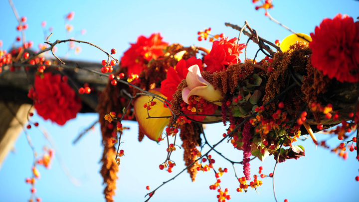 decorar-la-casa-con-flores-en-otono