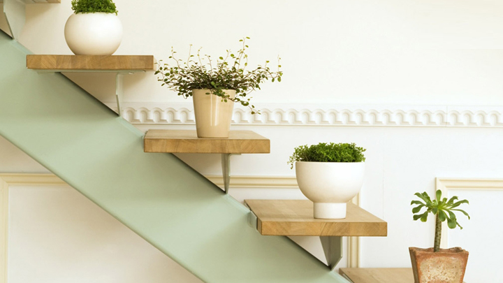 ideas para decorar con plantas y flores