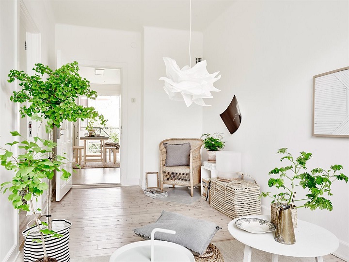 plantas estilo scandi 9