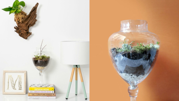 DIY-recipiente-planta-carnivora