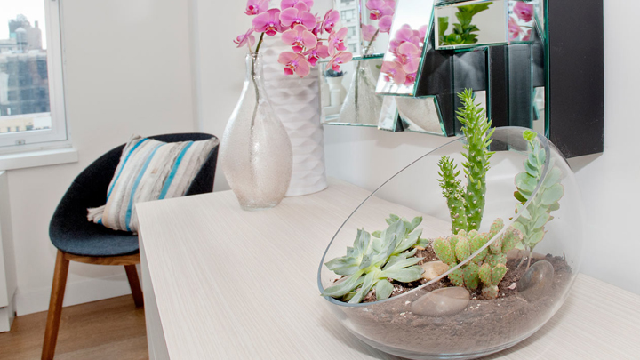 decorar-con-cactus-plantas-suculentas-y-terrarios