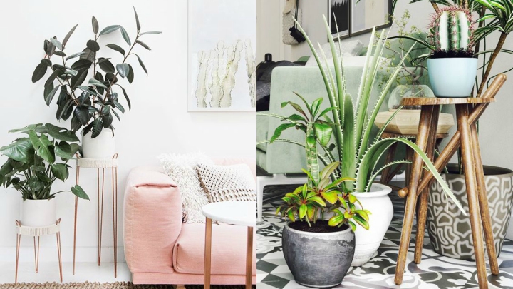 decoracion-plantas-interior