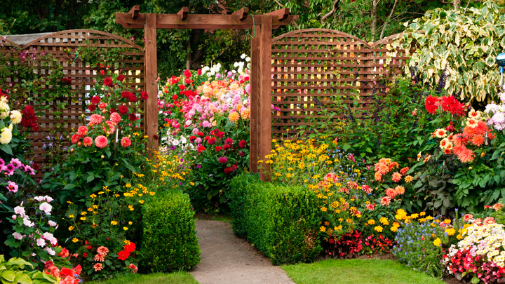 decorar-casa-flores-verano