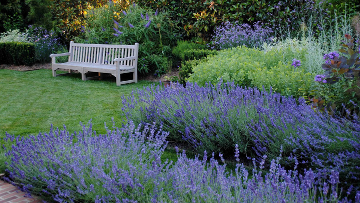 decorar-casa-flores-verano