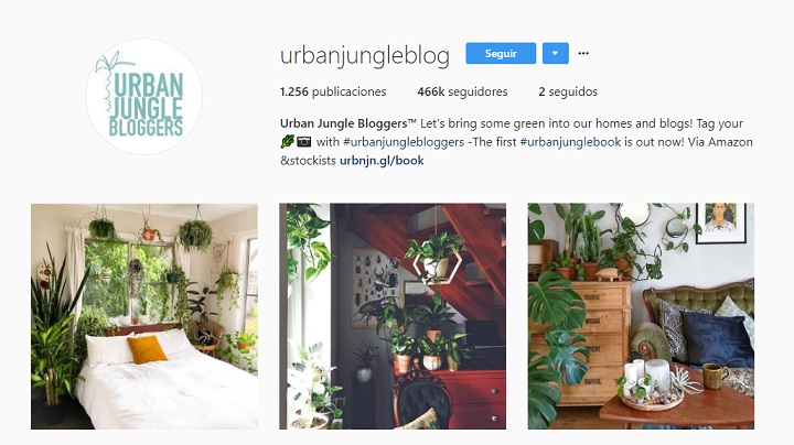 Urban-jungle-blog