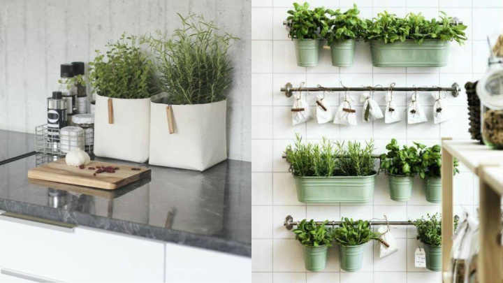 plantas-aromaticas-decoracion