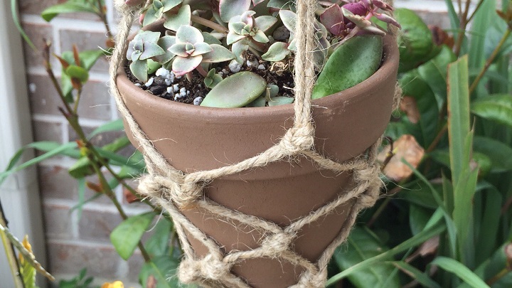 colgante-planta-macrame