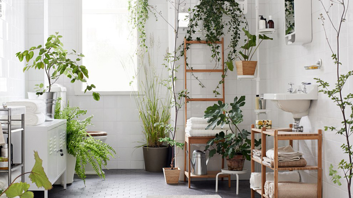 decoracion-bano-natural-plantas