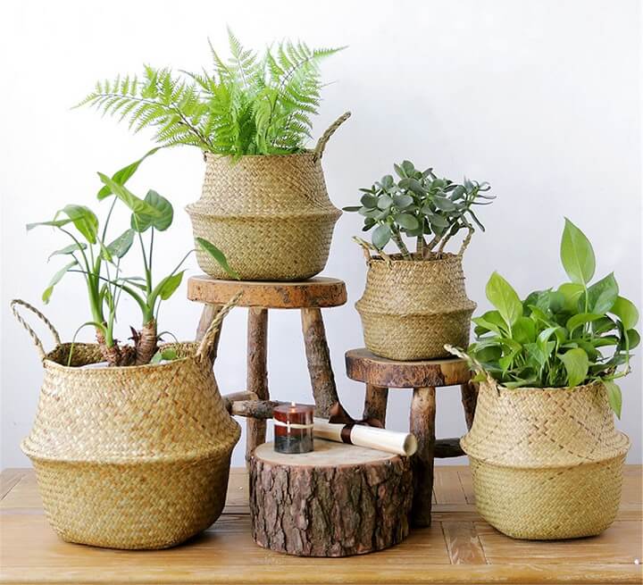cestas-vietnamitas-con-plantas