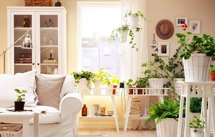 salon-con-plantas