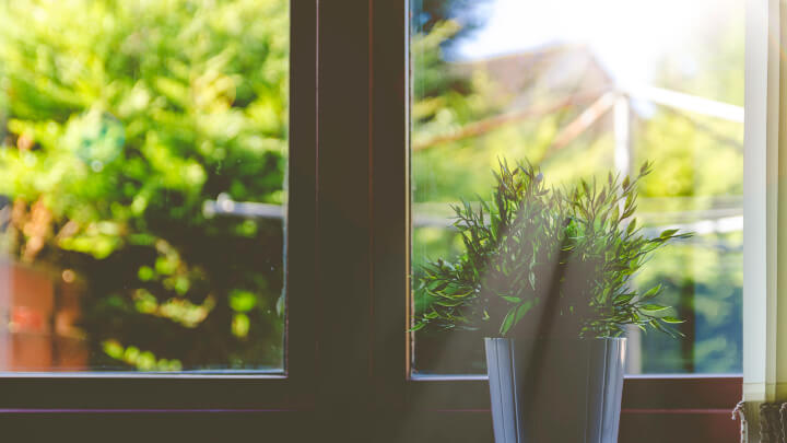 ventana-con-maceta