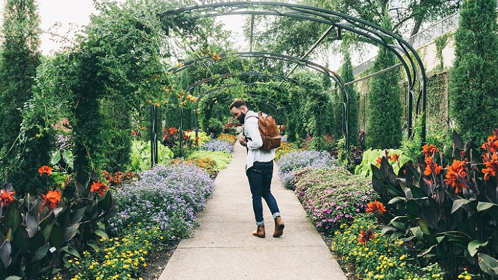 jardin-en-primavera