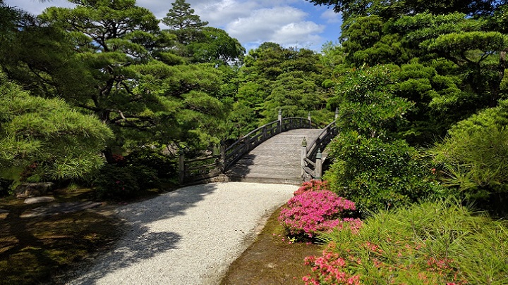 camino-de-jardin