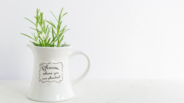 flores-en-taza-con-mensaje