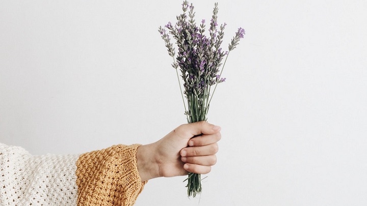 lavanda