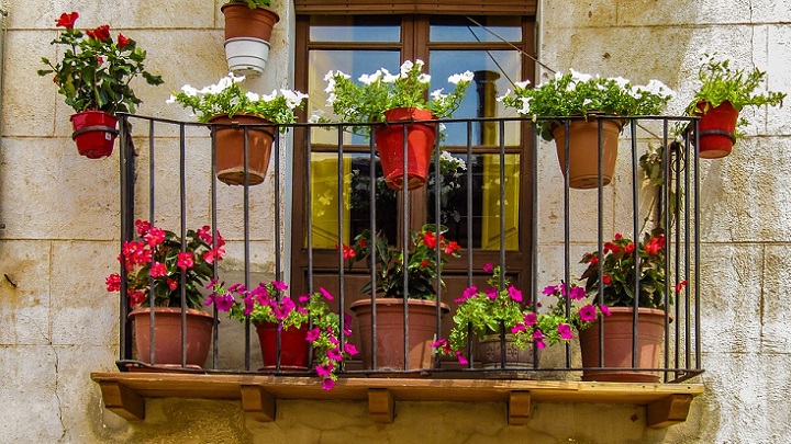 flores-en-el-balcon