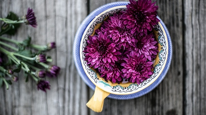 flores-en-una-taza