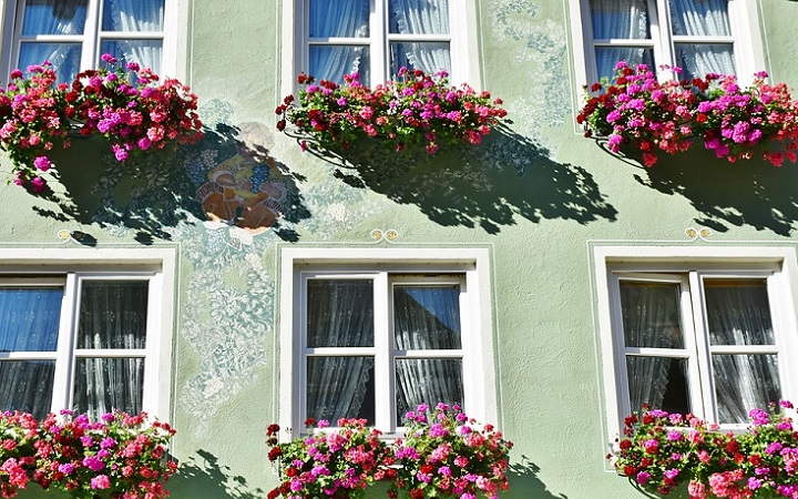 ventanas-con-flores