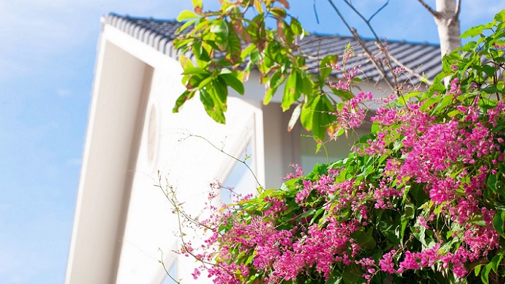 flores-en-el-jardin