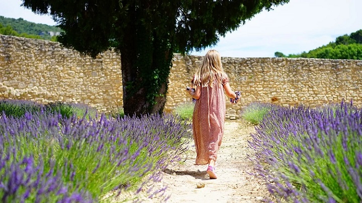 jardin-de-lavanda