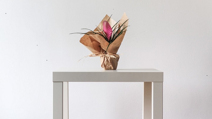 flores-sobre-mesa-blanca