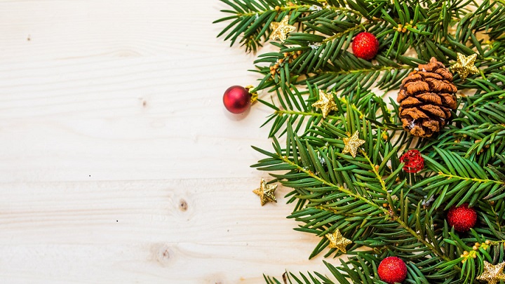 adornos-para-el-arbol-de-navidad