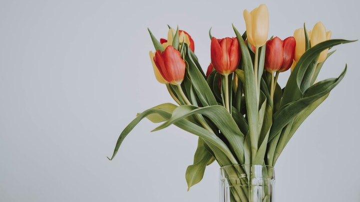 tulipanes-para-decoracion-clasica