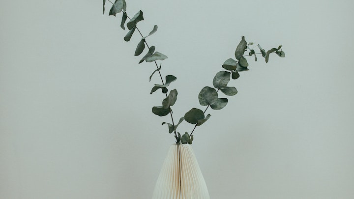 pared-de-color-verde