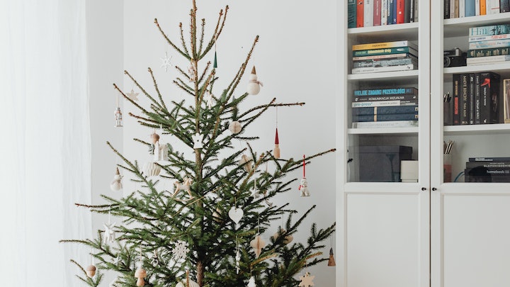 arbol-de-navidad-cerca-de-la-ventana