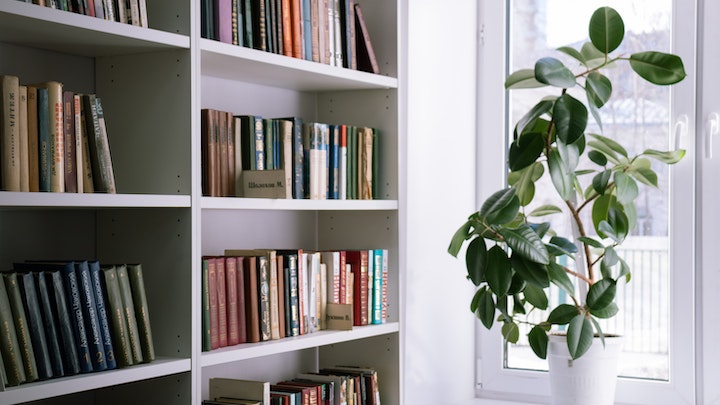 estanterias-con-libros-cerca-de-la-ventana