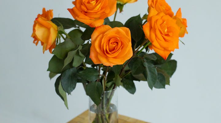 flores-de-color-naranja