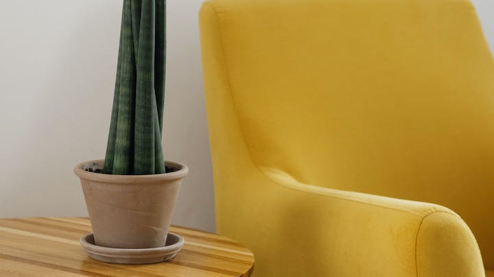 sofa-de-color-amarillo-en-casa