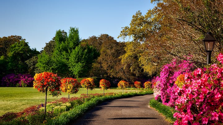 jardin-con-camino-en-el-centro